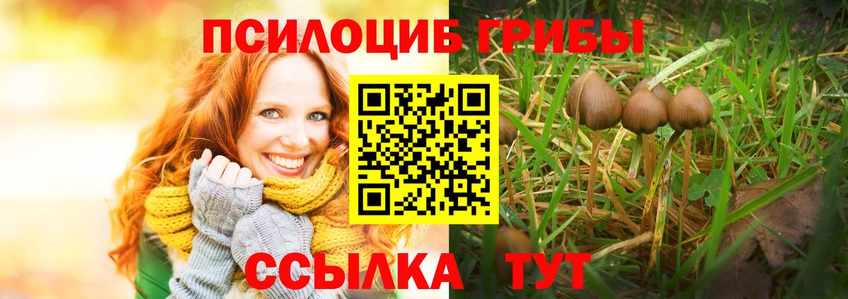 Галлюциногенные грибы ЛСД  Вход с VPN  где купить наркотик  Владивосток 